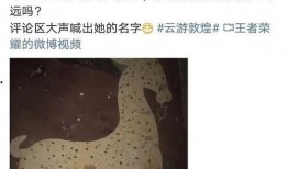 瑶妹儿最新皮肤爆料视频,神秘元素引期待！