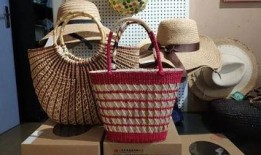 最新台风爆料新闻视频下载,揭秘视频爆料背后的风暴真相